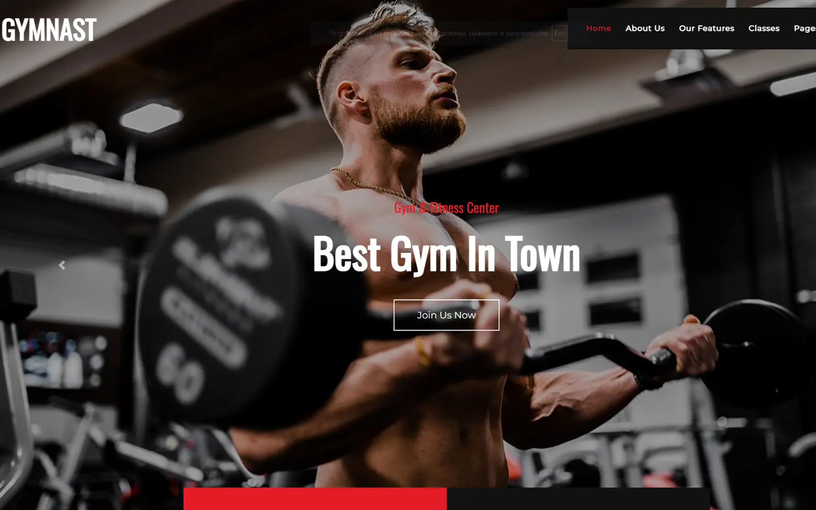 Gym website preview