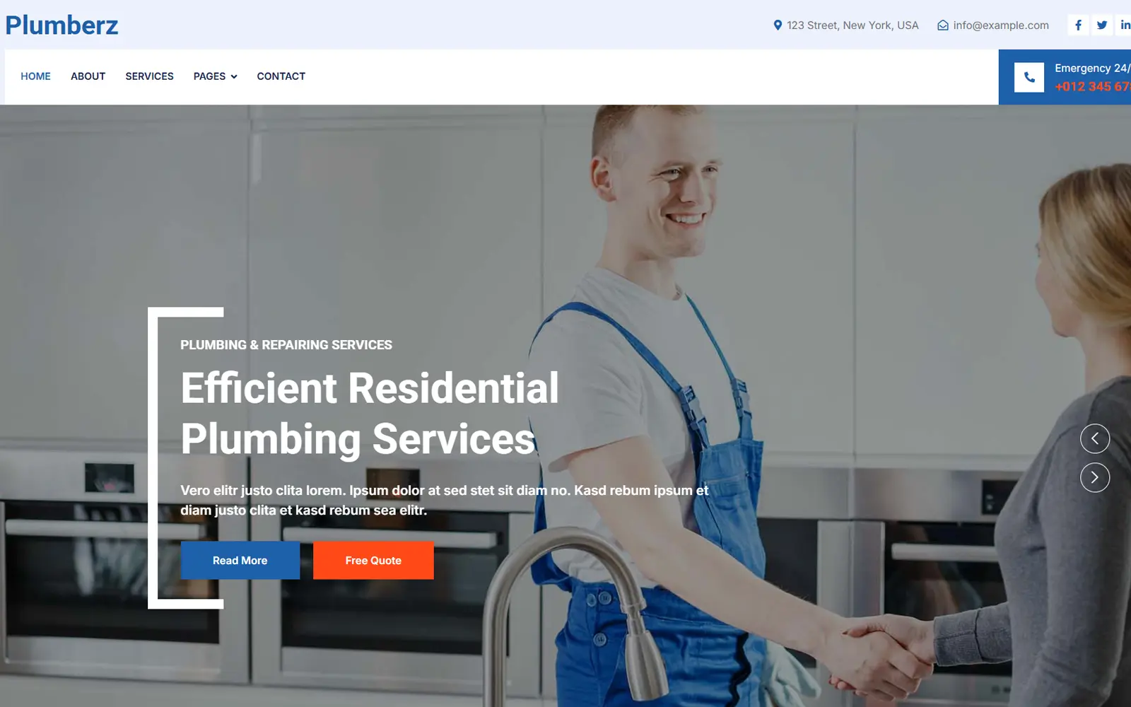 Plumbing website preview